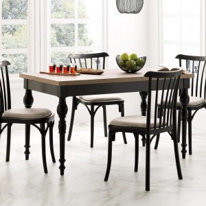 Kitchen Chair